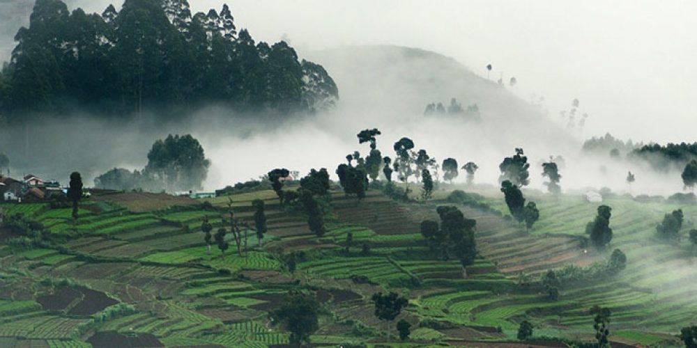 kodaikanal-munnar-cochin2